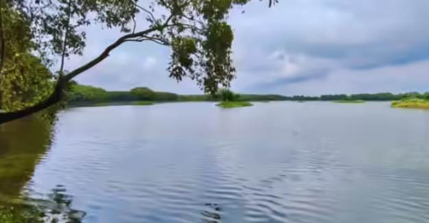 Shekha Jheel Becomes India’s 99th Ramsar Site