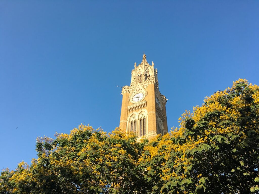 Mumbai University UG Admission 2026 Dates and Reservation Details